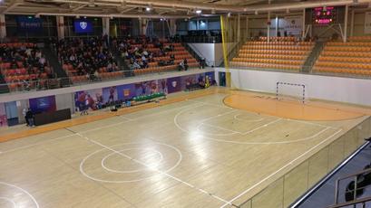 Futsal. Accesul spectatorilor la meciurile Moldova - Armenia
