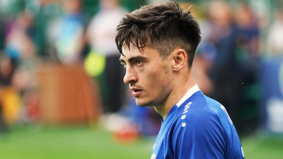 Nicolaescu, gol din penalty în Olanda