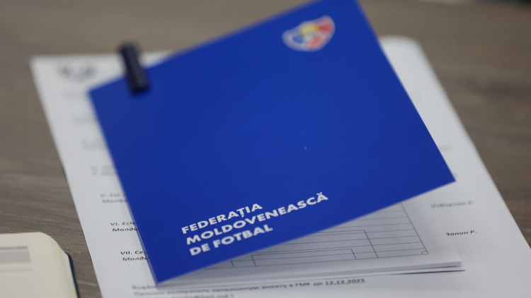 Comitetul de Antrenori. Rapoarte și planuri pentru Naționala de seniori și U21