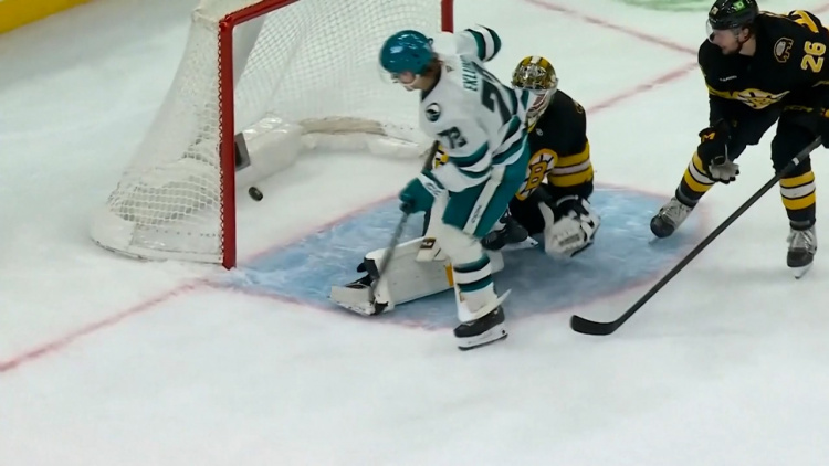 Gol senzațional în NHL