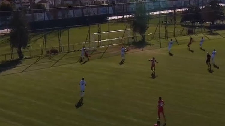 Milsami, egal cu Fratria lui Alexei Savinov