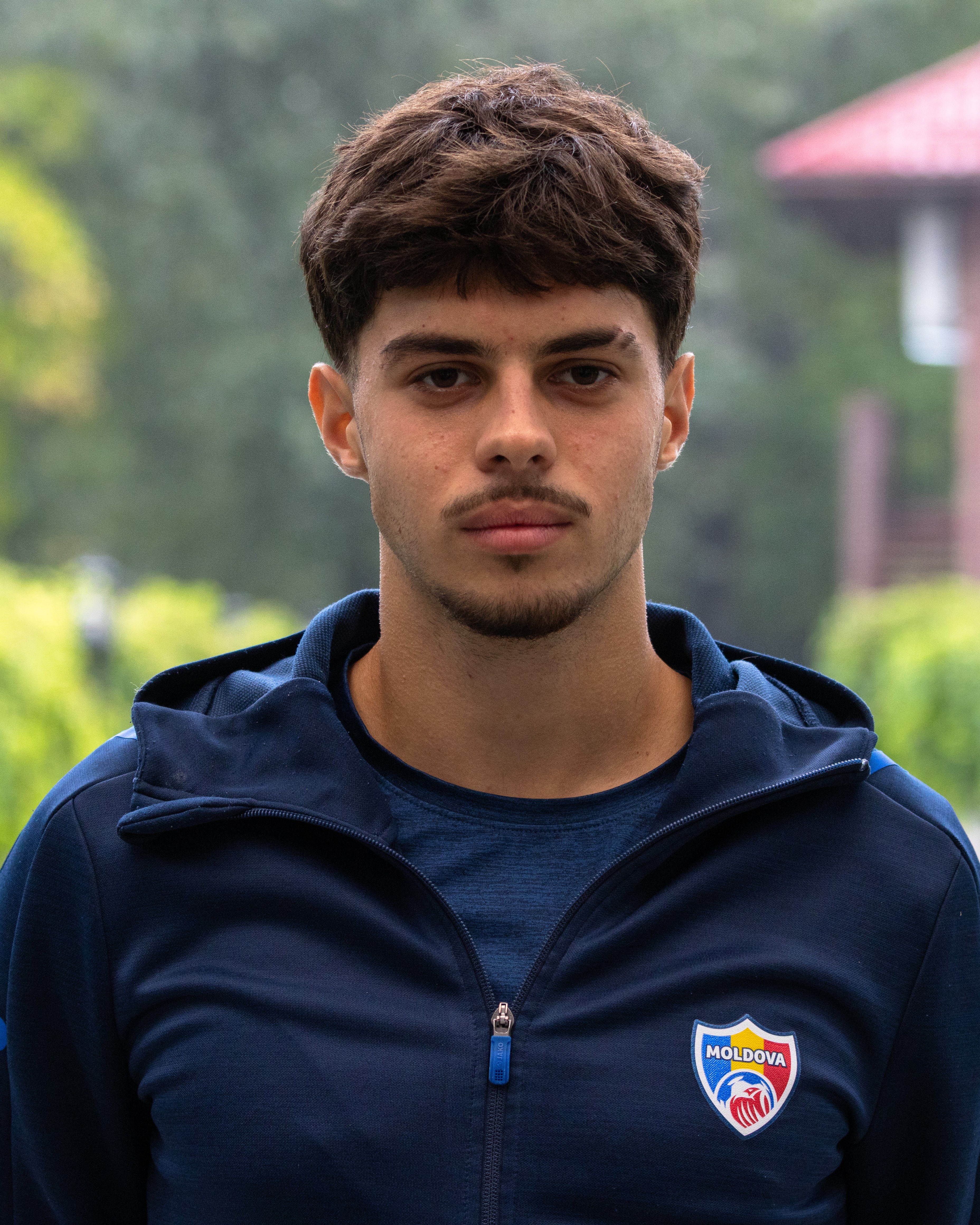 David Dimitrișin
