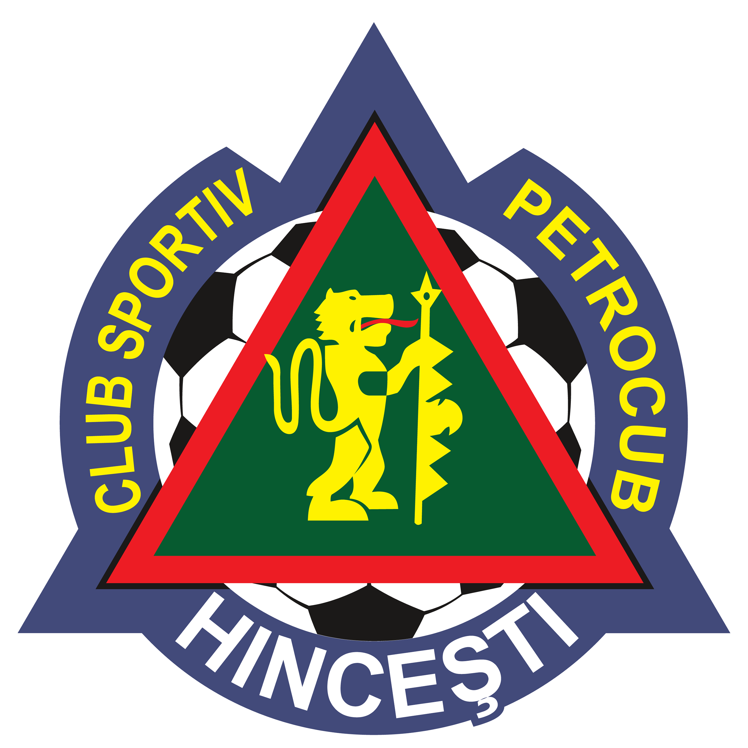 FC Petrocub
